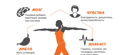 Биохакинг тела и разума