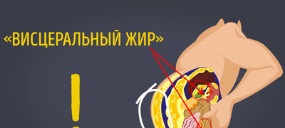 Неспасательный круг: как убрать висцеральный жир и чем он может быть опасен